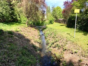 Ostbachtal Stück nach der Renaturierung am 30.04.2017