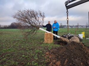 Pflanzung der Corona-Linde am 07.02.2021. (Mathias Grunert, Gerd E. Schug)