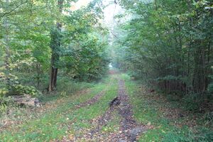 Resser Weg 2325 TS 20211024.jpg