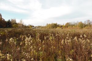 Ringlokschuppen 0954 Thorsten Schmidt 20141109.jpg