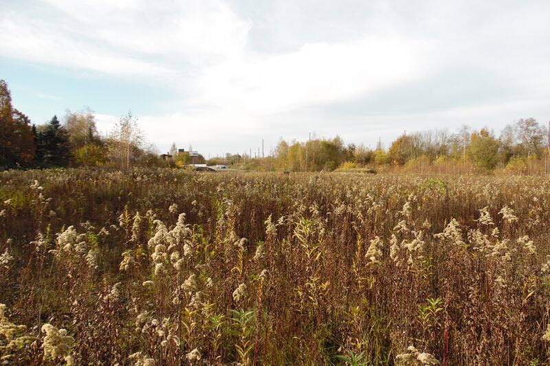 Datei:Ringlokschuppen 0954 Thorsten Schmidt 20141109.jpg