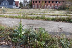 Ringlokschuppen 0964 Thorsten Schmidt 20141109.jpg