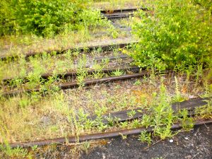 Ringlokschuppen P6050021 Thorsten Schmidt 20110605.jpg