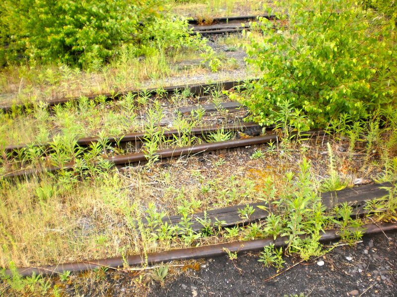 Datei:Ringlokschuppen P6050021 Thorsten Schmidt 20110605.jpg