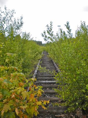Ringlokschuppen P6050029 Thorsten Schmidt 20110605.jpg