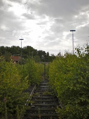 Ringlokschuppen P6050032 Thorsten Schmidt 20110605.jpg