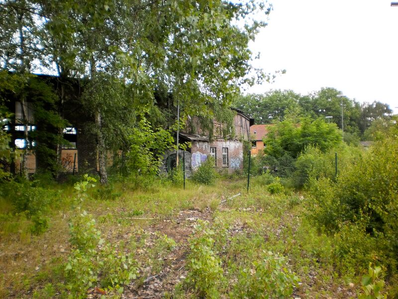 Datei:Ringlokschuppen P6050035 Thorsten Schmidt 20110605.jpg