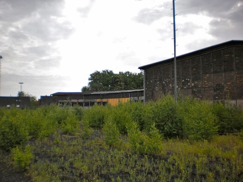 Datei:Ringlokschuppen P6050044 Thorsten Schmidt 20110605.jpg