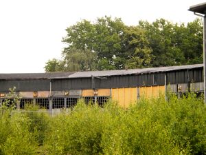 Ringlokschuppen P6050045 Thorsten Schmidt 20110605.jpg