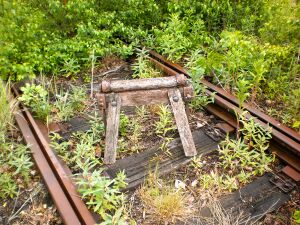 Ringlokschuppen P6050046 Thorsten Schmidt 20110605.jpg