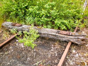 Ringlokschuppen P6050053 Thorsten Schmidt 20110605.jpg