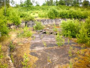 Ringlokschuppen P6050068 Thorsten Schmidt 20110605.jpg