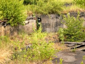 Ringlokschuppen P6050069 Thorsten Schmidt 20110605.jpg