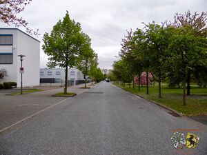 Robert-Bosch-Straße Thorsten Schmidt 20170501.jpg