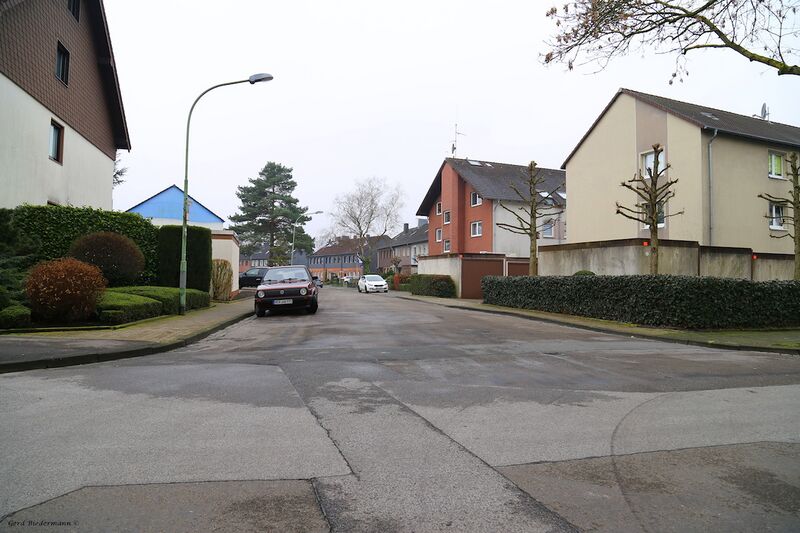 Datei:Rosenring Gerd Biedermann 2016.jpeg