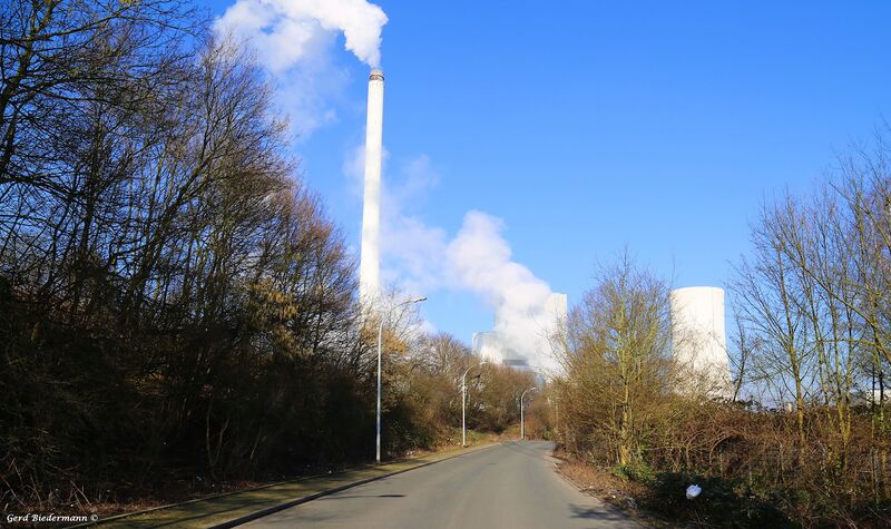 Datei:Rottstrasse44 Gerd Biedermann 2016.jpeg