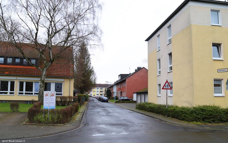 Datei:Schürenkamp Gerd Biedermann 2016.jpeg