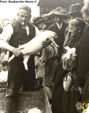 Schweinemarkt, 1925