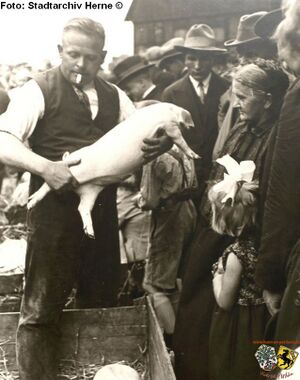 Schweinemarkt, 1925.jpg