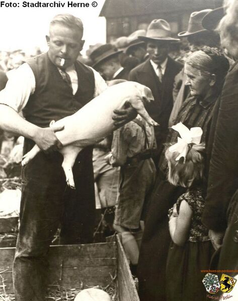 Datei:Schweinemarkt, 1925.jpg