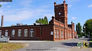 Shamrock 0624 Gerd Storm 20140805.jpg