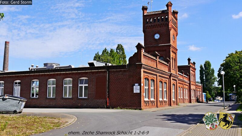 Datei:Shamrock 0624 Gerd Storm 20140805.jpg