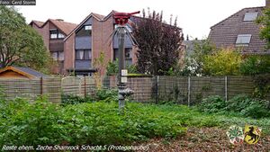 Shamrock 5 1 Gerd Storm 20171031.jpg