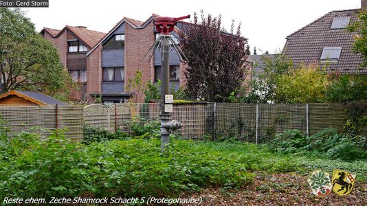 Zeche Shamrock 31. Oktober 2017 [4]