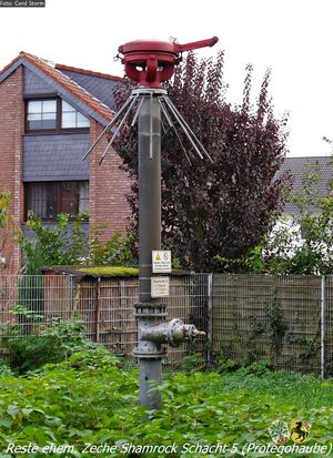 Shamrock 5 2 Gerd Storm 20171031.jpg