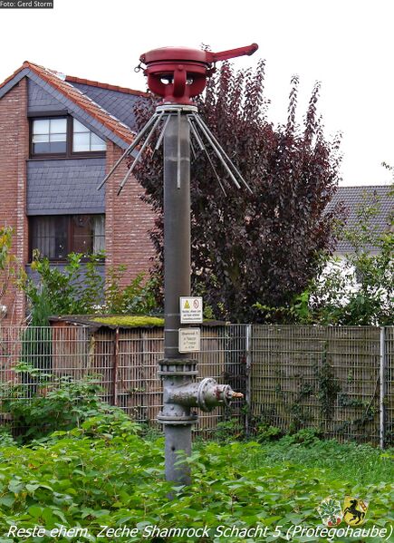 Datei:Shamrock 5 2 Gerd Storm 20171031.jpg