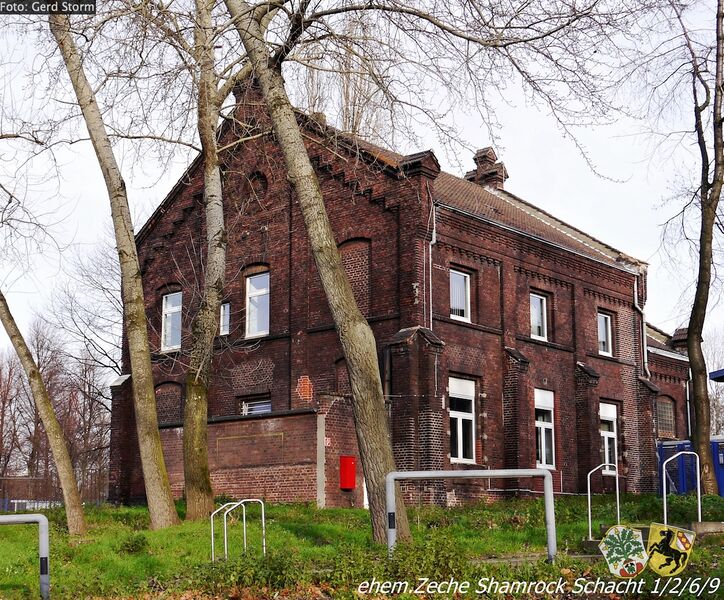 Datei:Shamrock 696 Gerd Storm 20151227.jpg