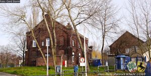 Shamrock 700 Gerd Storm 20151227.jpg