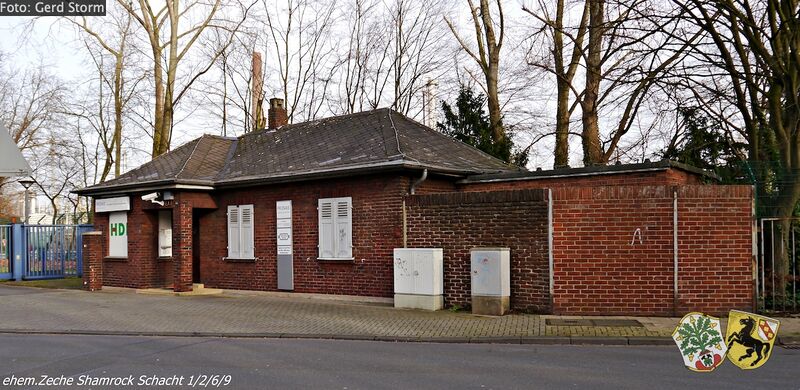 Datei:Shamrock 704 Gerd Storm 20151227.jpg