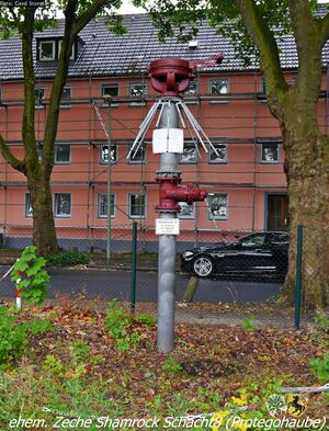 Shamrock 8 602 Gerd Storm 20140712.jpg