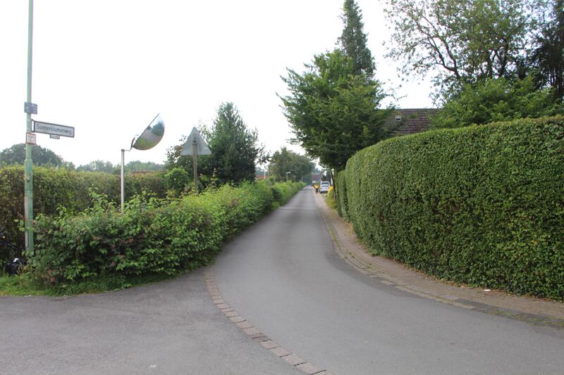 Datei:Sonnenblumenweg 2059 TS 20210815.jpg