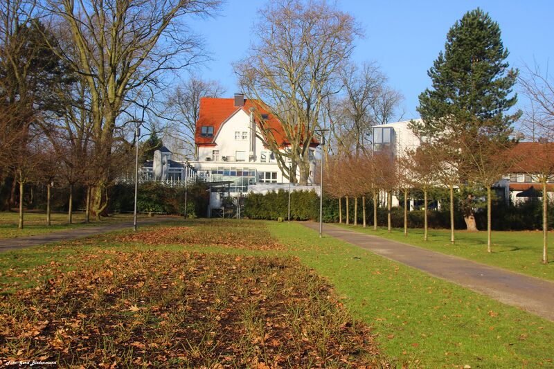 Datei:Stadtgarten6.jpg