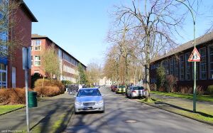 Steinstrasse 4 Gerd Biedermann 2016.jpeg