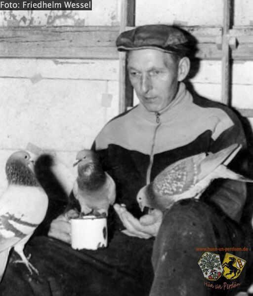 Datei:Taubenschlag Friedhelm Wessel.jpg