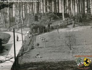 Tierpark Gysenberg 11.jpg