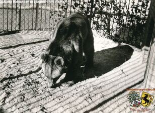 Tierpark Gysenberg 4.jpg