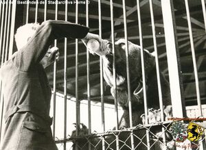 Tierpark Gysenberg 5.jpg