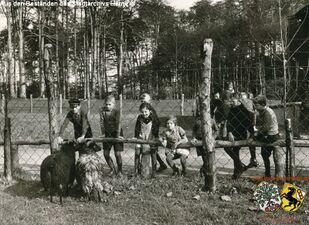 Tierpark Gysenberg 7.jpg