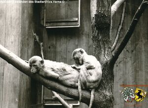 Tierpark Gysenberg 8.jpg