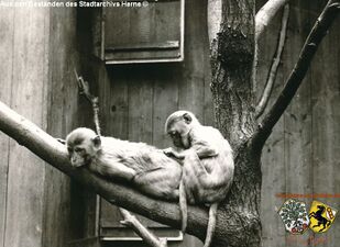 Tierpark Gysenberg 8.jpg