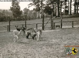 Tierpark Gysenberg 9.jpg