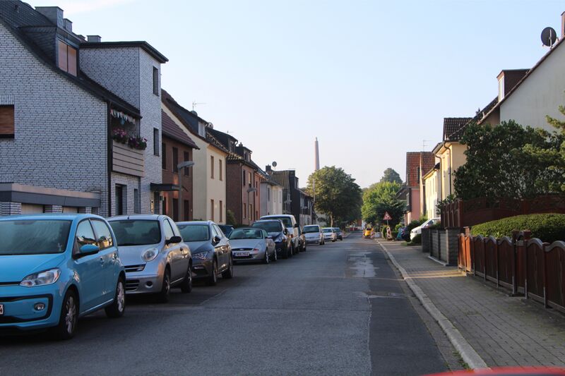 Datei:Tulpenweg 2086 TS 20210905.jpg