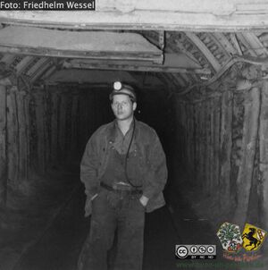 Volker Vogelmann in Strecke.jpeg