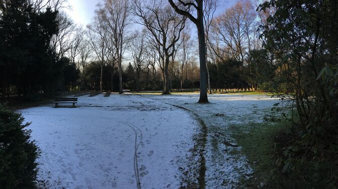 Ehrenfriedhof für zivile Opfer des Luftkrieges (Abt. XX) [1]