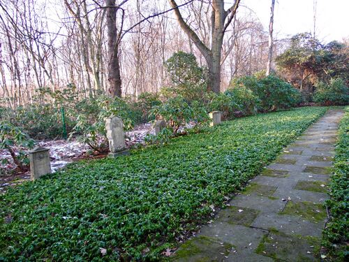 Grabsteine auf dem jüdischen Teil [6]