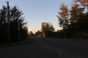 Wiedehopfstrasse 2323 TS 20211024.jpg